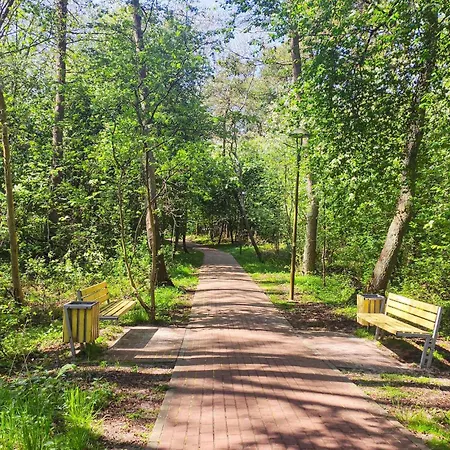 Awesome In With Kitchen *