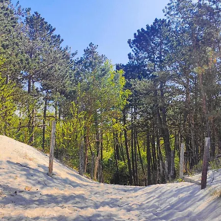 Awesome In With Kitchen *