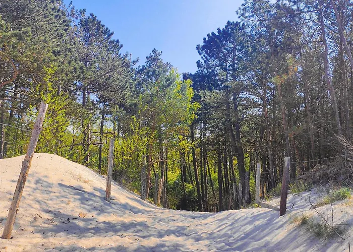 Awesome In With Kitchen *