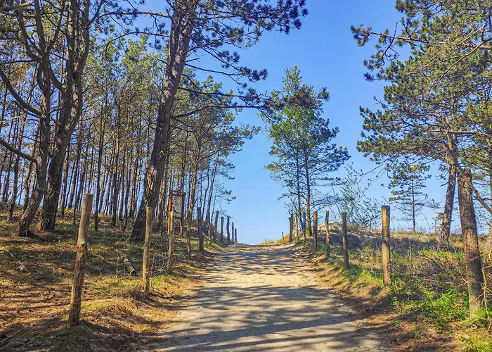 別荘 Awesome In With Kitchen ボボリン